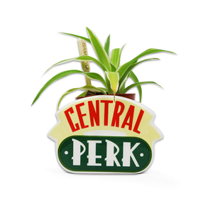 Friends - Plant Pot Central Perk
