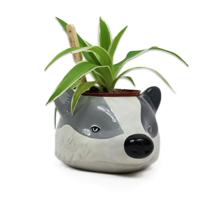 Harry Potter - Plant Pot Hufflepuff