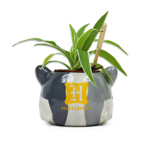 Harry Potter - Plant Pot Hufflepuff