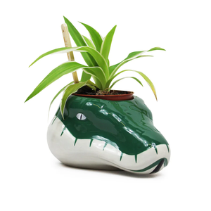 Harry Potter - Plant Pot Slytherin