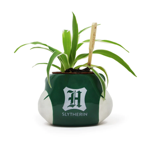 Harry Potter - Plant Pot Slytherin