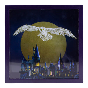 Harry Potter - Hedwig Frame Money Box